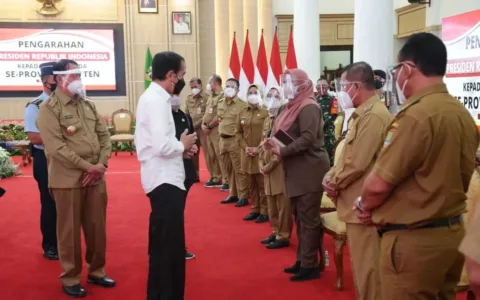 Irna Curhat ke Jokowi Tentang Covid 19 dan TOL Serang-Panimbang