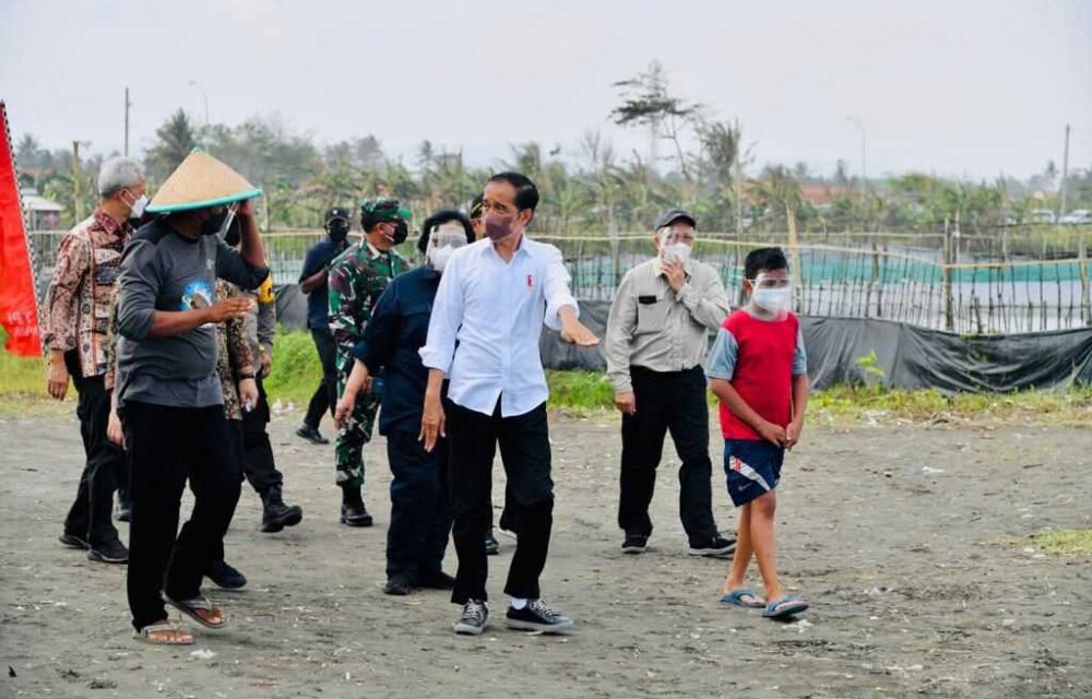 Agar Tak Punah, Presiden Lepas 1.500 Tukik Di Cilacap