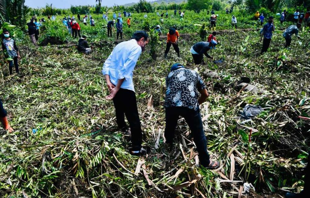Presiden Tinjau Vaksinasi Di Kampung Nelayan