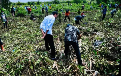 Presiden Tinjau Vaksinasi di Kampung Nelayan