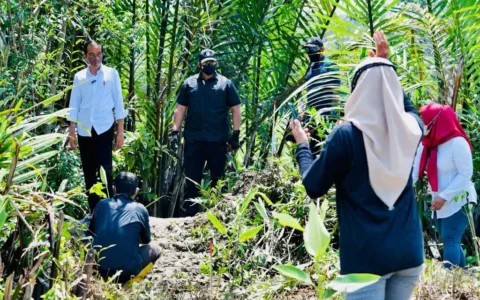 Mitigasi Perubahan Iklim, Presiden Tanam Mangrove di Cilacap