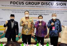 Pphn Bisa Dihadirkan Melalui Konsesus Politik