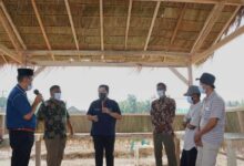 Erick Thohir Pastikan Petani Lampung Dapat Program Makmur Pupuk