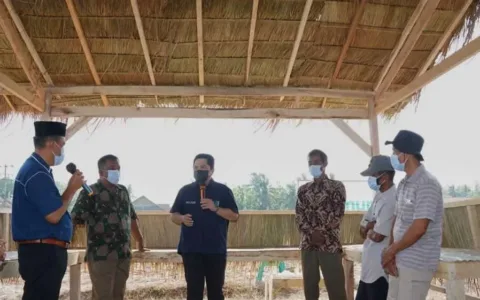 Erick Thohir Pastikan Petani Lampung Dapat Program Makmur Pupuk