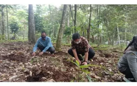 Distan Pandeglang Berikan Pelatihan Terhadap Kelompok Tani di Kaduhejo