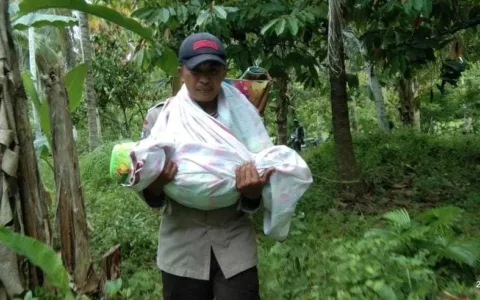 VIRAL…Aksi Polisi Gendong Jenazah Bayi di Palu