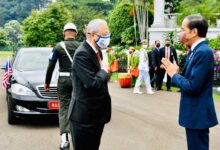 Presiden Sambut Kunjungan Pm Ismail Sabri Di Istana Bogor
