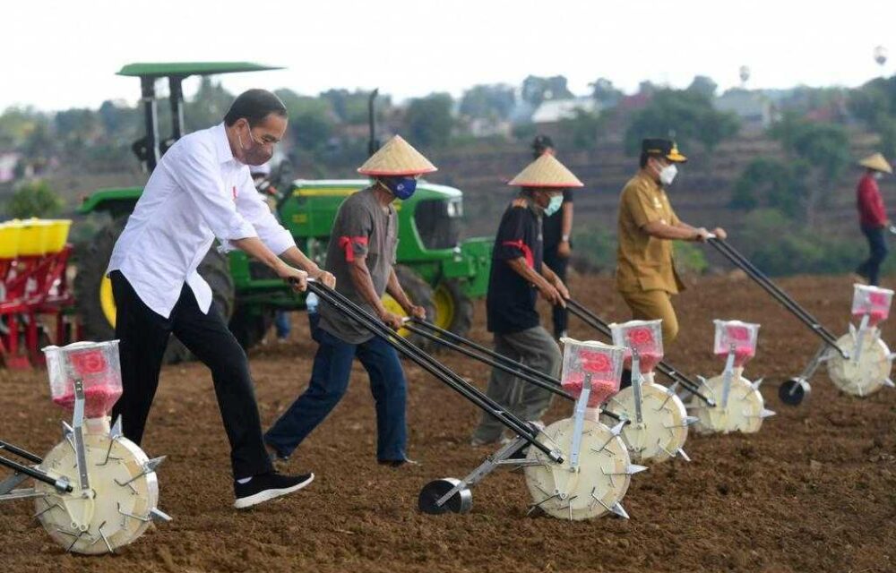 Amazing...!Presiden Jokowi Tanam Jagung Pakai Traktor