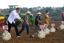 Amazing...!Presiden Jokowi Tanam Jagung Pakai Traktor