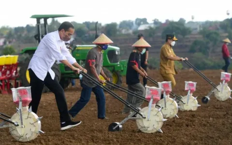 AMAZING…Presiden Jokowi Tanam Jagung Pakai Traktor