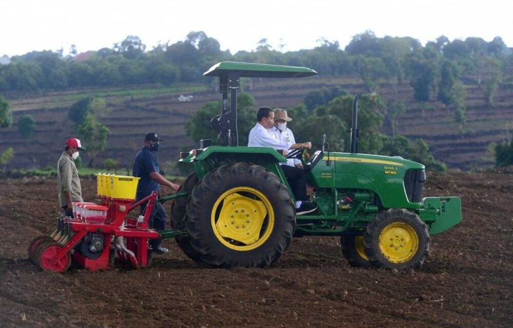 Presiden Jokowi Berharap Kebutuhan Jagung Nasional Tercukupi
