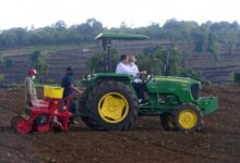 Presiden Jokowi Berharap Kebutuhan Jagung Nasional Tercukupi