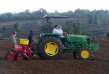 Presiden Jokowi Berharap Kebutuhan Jagung Nasional Tercukupi