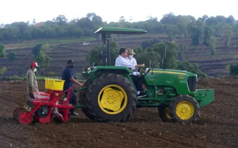 Presiden Jokowi Berharap Kebutuhan Jagung Nasional Tercukupi