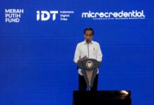 Jokowi Sebut Thanos, Erick Jelaskan Celestial