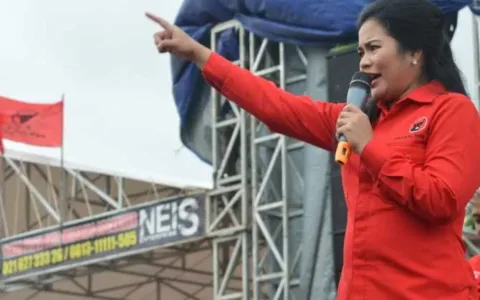Komisi X DPR RI Bicara Nasib Perempuan di Hari Ibu