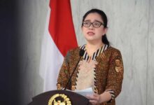 Puan Minta Pemerintah Segera Atasi Harga Minyak Goreng