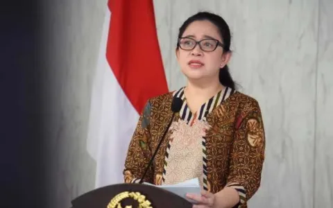 Puan Minta Pemerintah Segera Atasi Harga Minyak Goreng