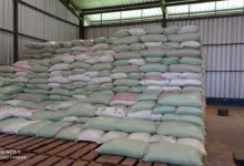 Stok Beras Lebak Pandeglang Aman Hingga Tiga Bulan ke Depan