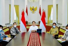 Jokowi Cabut Ribuan Izin Usaha Tambang, Kehutanan Dan Hgu Perkebunan