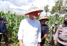 Ganjar Ajak Emak-Emak Belajar Teknologi Pertanian