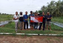 Pt Panggung Bungkam Ditanya Terkait Persoalan Tanah Di Wanasalam