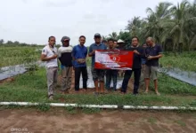 PT Panggung Bungkam Ditanya Terkait Persoalan Tanah di Wanasalam