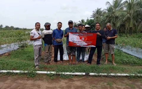 PT Panggung Bungkam Ditanya Terkait Persoalan Tanah di Wanasalam