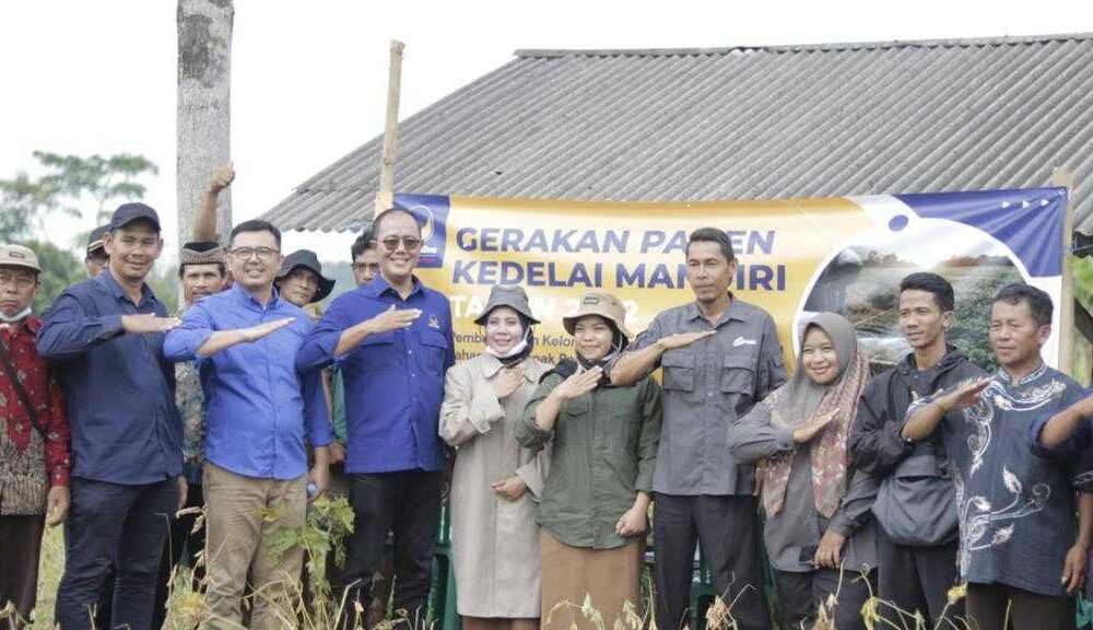Nasib Kedelai Di Negeri Luas Dan Subur