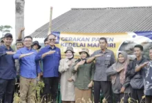 Nasib Kedelai di Negeri Luas dan Subur