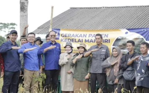 Nasib Kedelai di Negeri Luas dan Subur