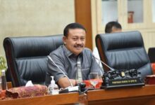 Demer Minta Mendag Focus Urus Kelangkaan Minyak Goreng