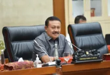 Demer Minta Mendag Focus Urus Kelangkaan Minyak Goreng