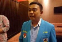 Harus...!Knpi Desak Negara Ambil Alih Perusahaan Sawit Penyerobot Hutan