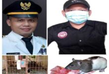 Wow: Jadi Thl Di Kecamatan Cabang Bungin Diduga Pakai Uang Pelicin,
