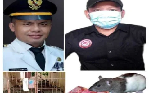 Wow: Jadi THL Di Kecamatan Cabang Bungin Diduga Pakai Uang Pelicin,
