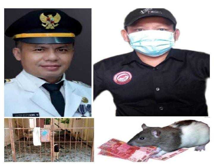 Wow: Jadi Thl Di Kecamatan Cabang Bungin Diduga Pakai Uang Pelicin,