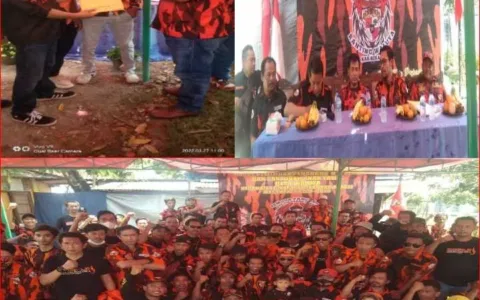 Sangat Luar Biasa, RPP Pemuda Pancasila Ranting Waluya Sukses