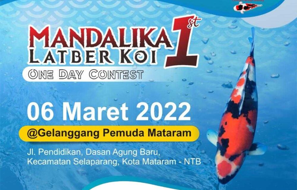 Renten Koi Lotara Siap Meramaikan Mandalika Latber Koi 1