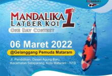 Renten Koi Lotara Siap Meramaikan Mandalika Latber Koi 1