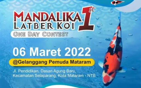 Renten Koi Lotara Siap Meramaikan Mandalika Latber Koi 1