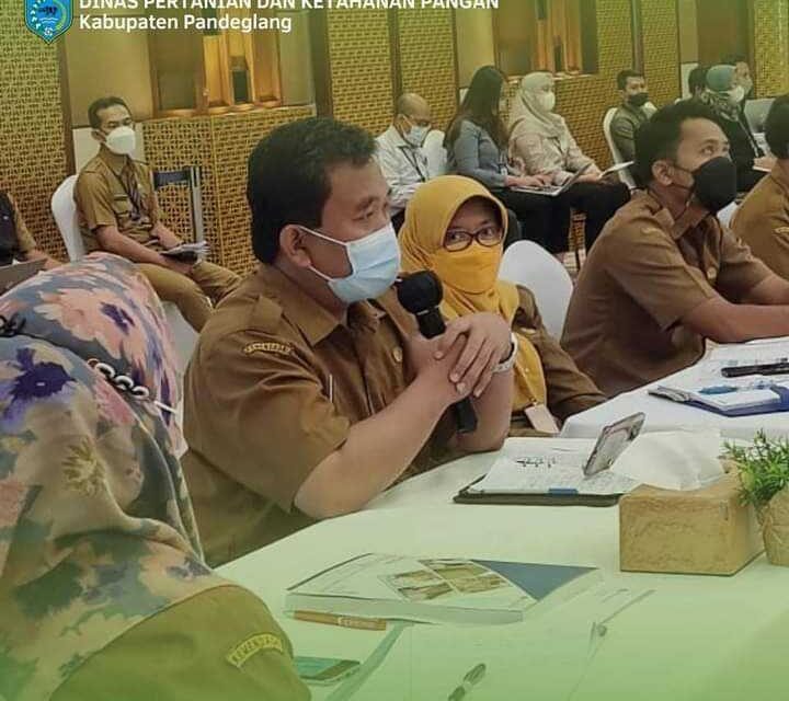 Plt Kadis Pertanian Pandeglang Hadiri Rapat Pengembangan Umkm Sektor Pertanian