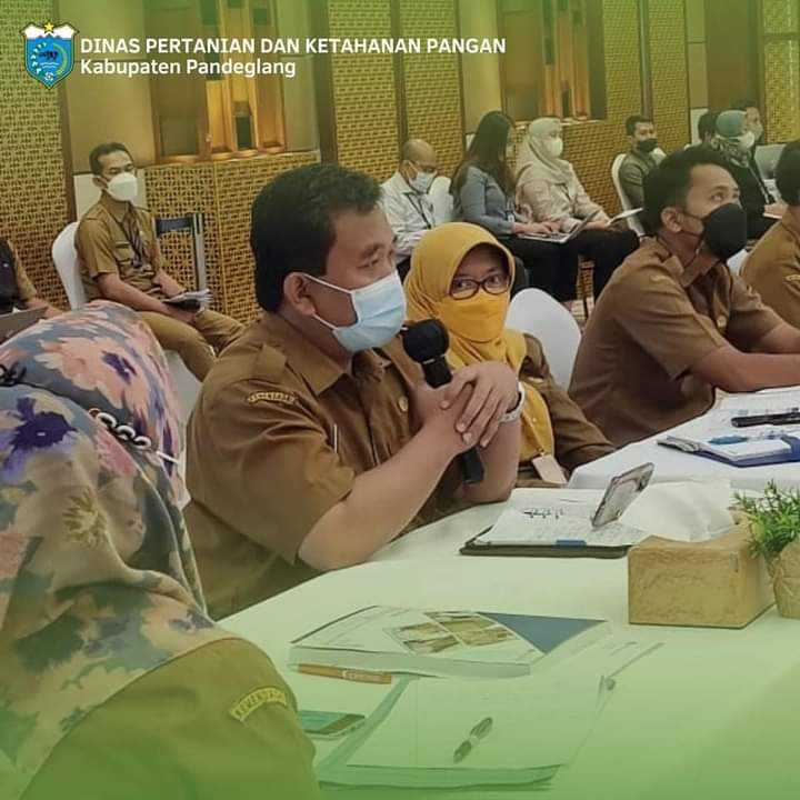 Plt Kadis Pertanian Pandeglang Hadiri Rapat Pengembangan Umkm Sektor Pertanian