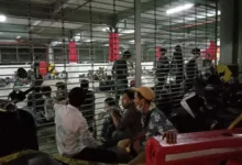 LMND DKI Jakarta Minta Ketumnya Dibebaskan