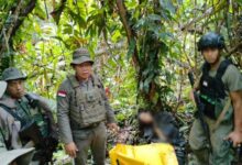 Sikat...!Satgas Madago Raya Ringkus Seorang Dpo Teroris Mit