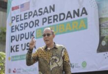 Indonesia Bisa Hasilkan Kedelai Sendiri