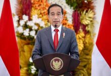 Jokowi Telepon Vladimir Putin, Ada Apa