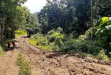 Kondisi Jalan Pasien Ditandu di Pandeglang