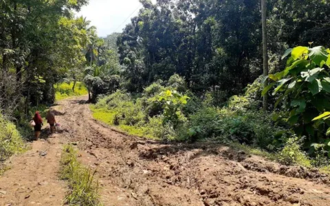 Kondisi Jalan Pasien Ditandu di Pandeglang