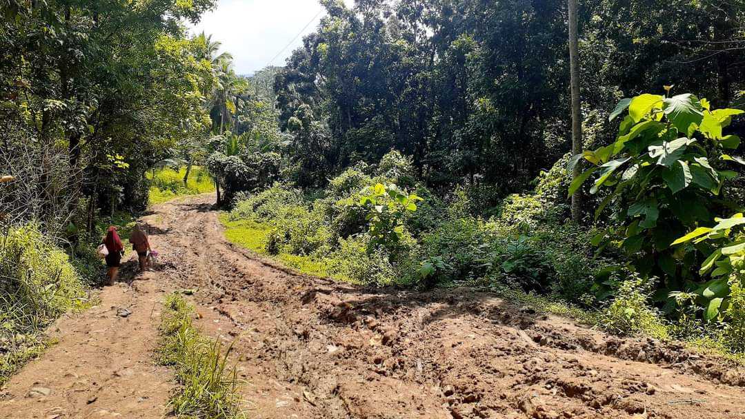 Kondisi Jalan Pasien Ditandu Di Pandeglang